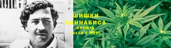 PSILOCYBIN Надым
