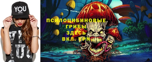 соль ск Навашино