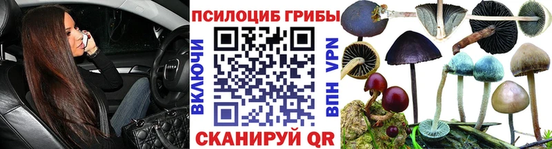 Псилоцибиновые грибы мицелий Торопец